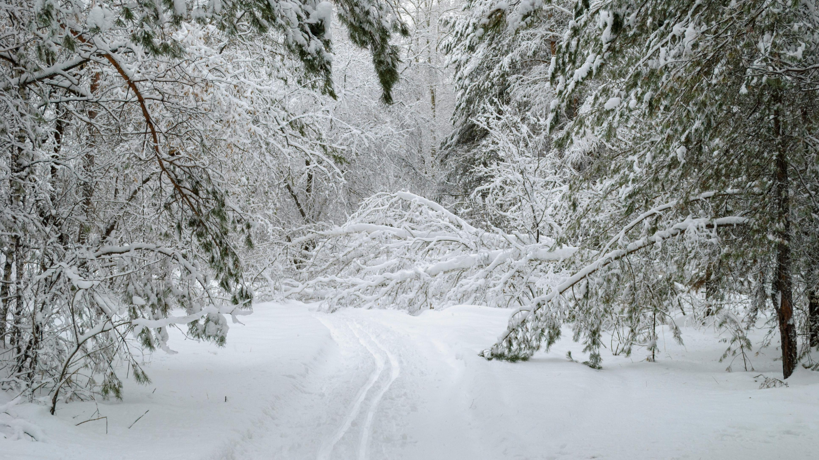 Come-affrontare-i-rischi-invernali